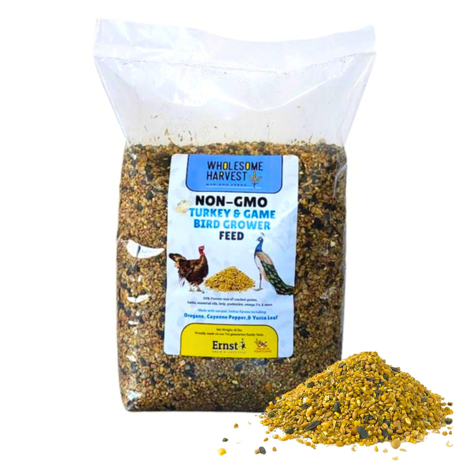 Wholesome Harvest Non-GMO turkey feed 10 lb bag showing premium ingredients for healthy growth.