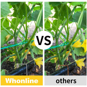 Whonline sturdy stakes anchoring landscape fabric and tarps to prevent shifting.