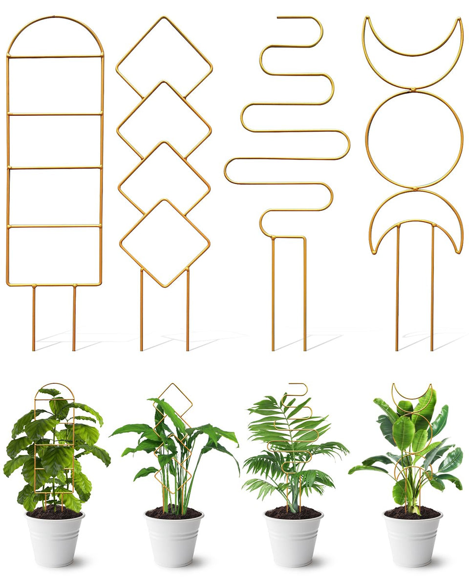 Whtawtaw 4-pack indoor climbing trellis with golden patterns supports small potted plants and adds vertical interest