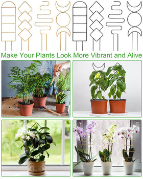Whtawtaw compact trellis kit for small climbers in containers