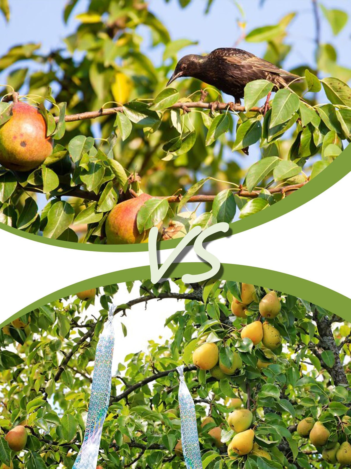 Whtawtaw crop-protection tape helps keep crops safe from pests