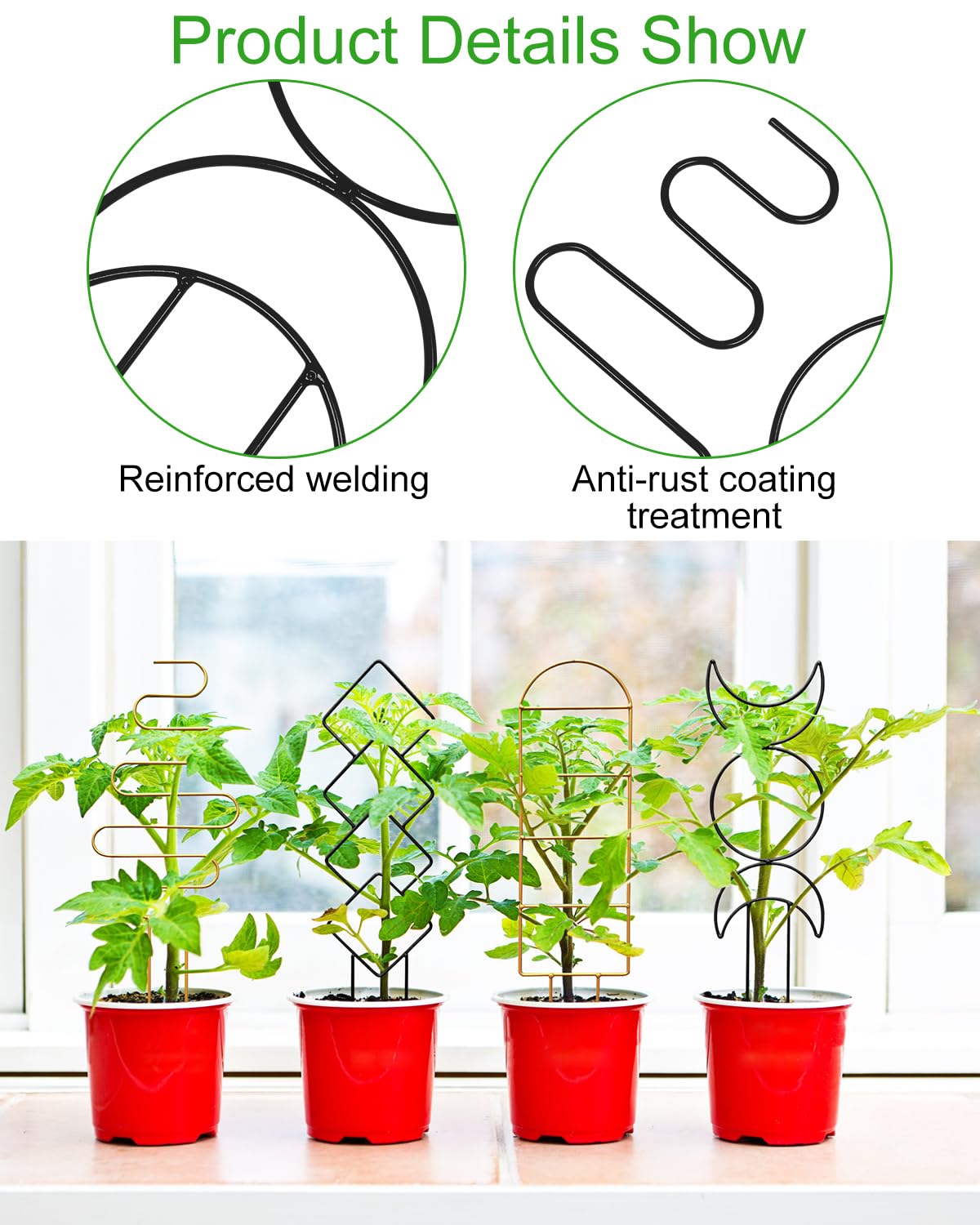 Whtawtaw compact plant trellis supports ivy, peas, and flowering plants