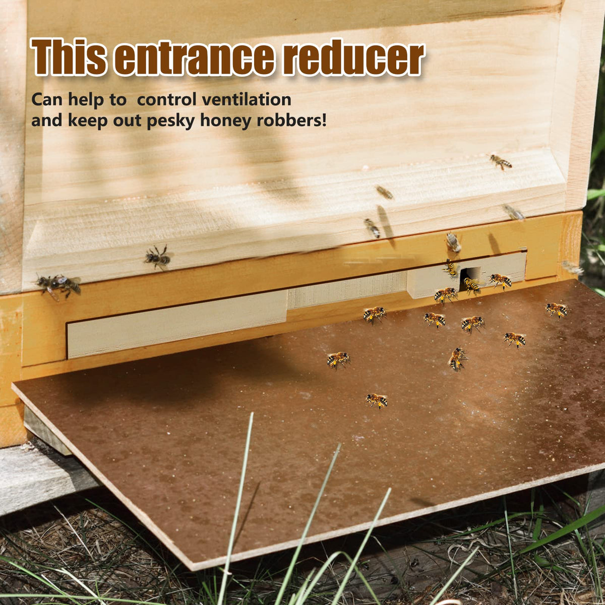 Whumsdog reducer with smooth burr-free surface for long-lasting use