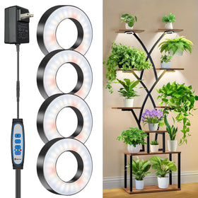 Wiaxulay four-head grow light setup for versatile year-round indoor gardening