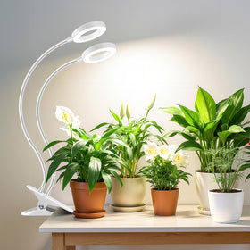 Wiaxulay Halo Clip light on desk, ideal for space-saving plant growth.