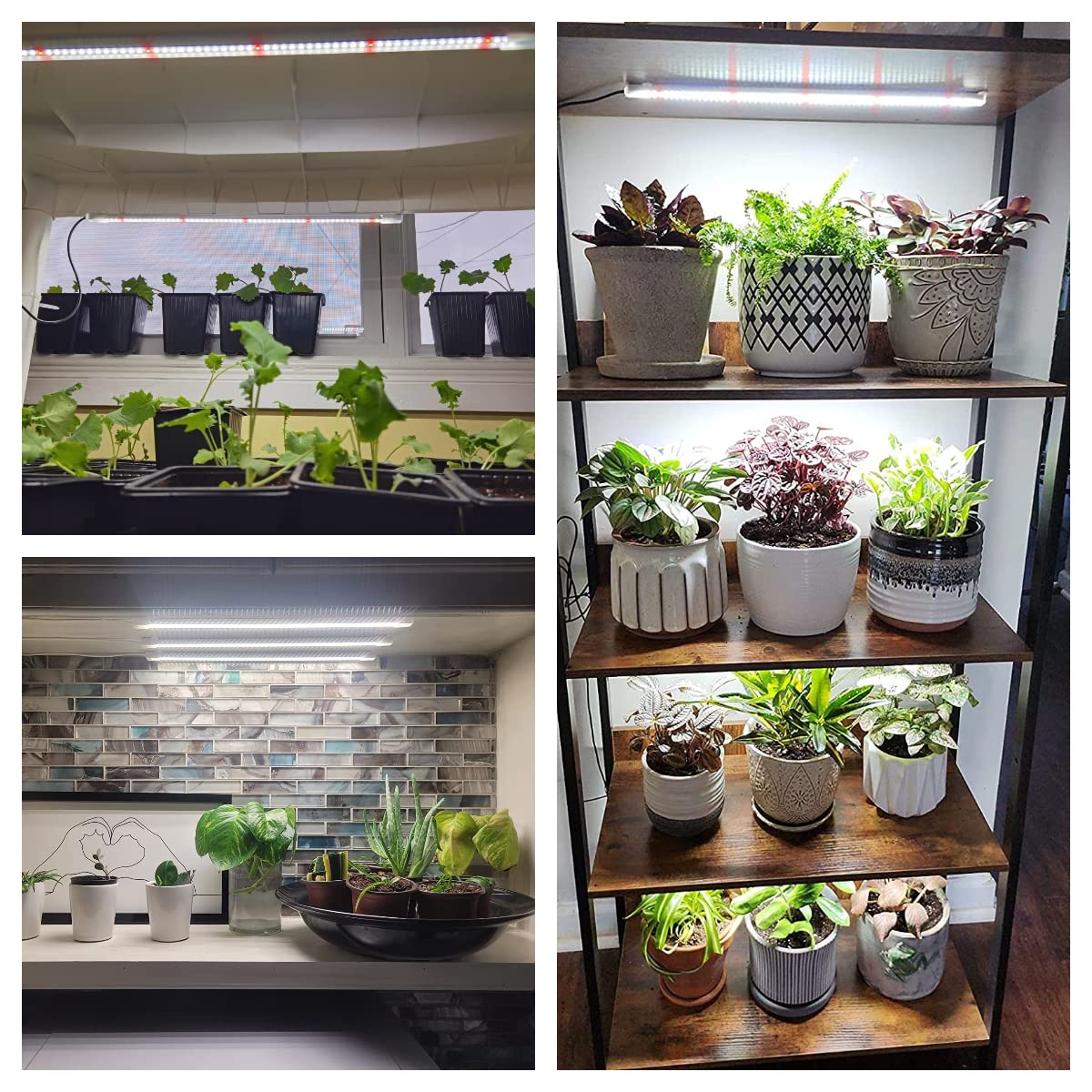Wiaxulay LED grow light strip setup and adapters enable easy installation on shelves
