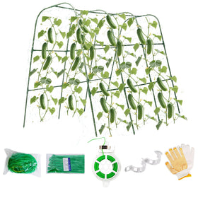 Wikdey cucumber trellis arch in a raised bed supports peas and beans for better airflow.