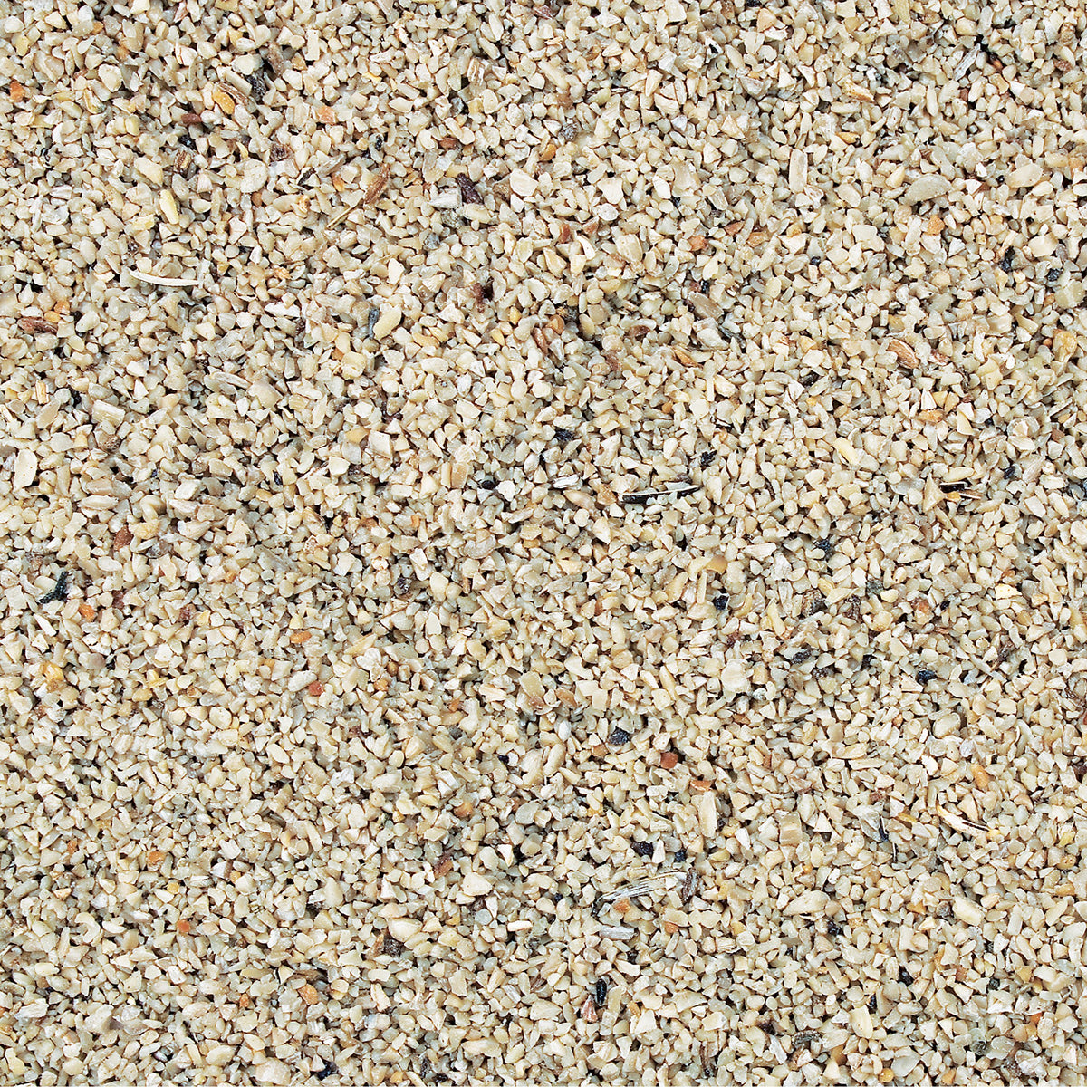 Close-up of Wild Delight Fine Sunflower Chips, high-oil seed feed for backyard birds.