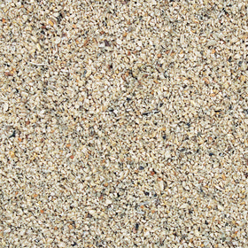 Close-up of Wild Delight Fine Sunflower Chips, high-oil seed feed for backyard birds.
