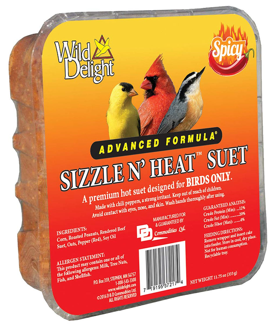 Wild Delight Sizzle N Heat spicy suet pack energizing woodpeckers and other birds