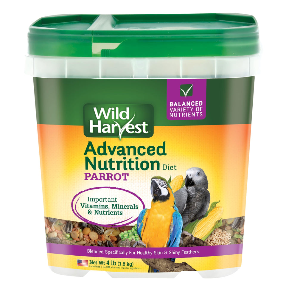 Wild Harvest Advanced Nutrition Parrot seed variety in a bowl supports balanced intake and curiosity.