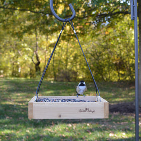 Wild Wings WWCF23 cardinals and jays feeding on the tray feeder.