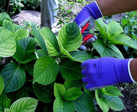 WILDFLOWER Tools two-pair set offers versatile protection for garden tasks