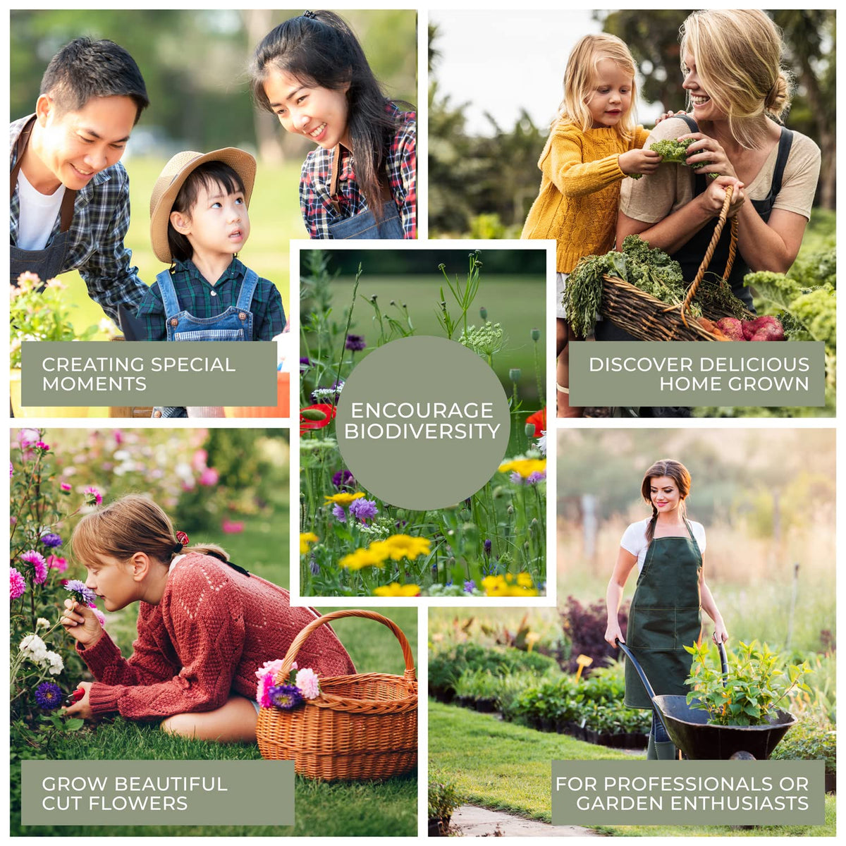 WILDGOOSE seed storage box gift ready set for gardeners