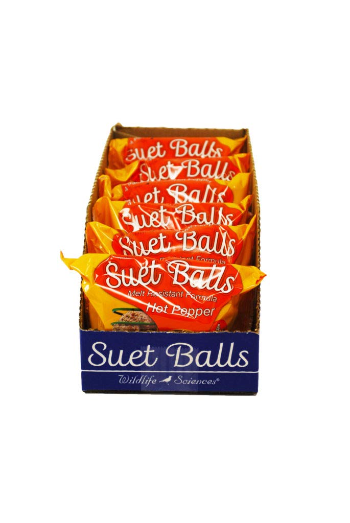Wildlife Sciences suet balls 24-pack for backyard birds, energy-rich nutrition
