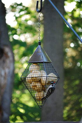 Wildlife Sciences Wrapper-Packaged suet balls emphasizing convenient four-pack servings