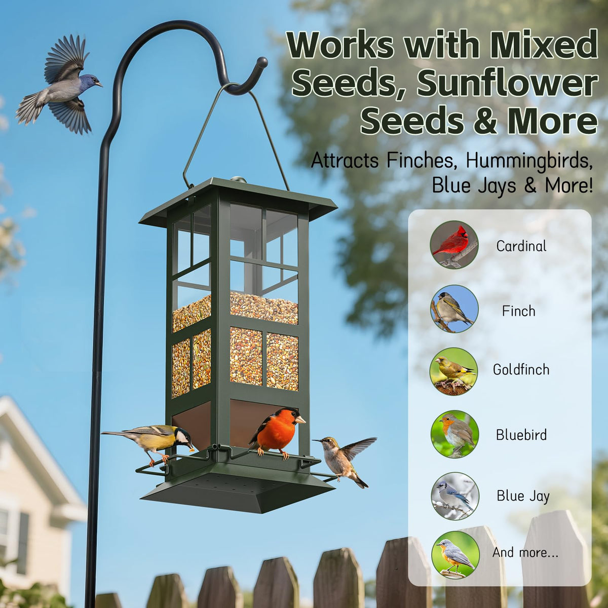 Wildpark feeder with drainage holes keeps seeds dry for birds.