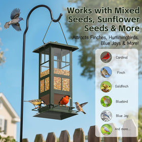 Wildpark feeder with drainage holes keeps seeds dry for birds.