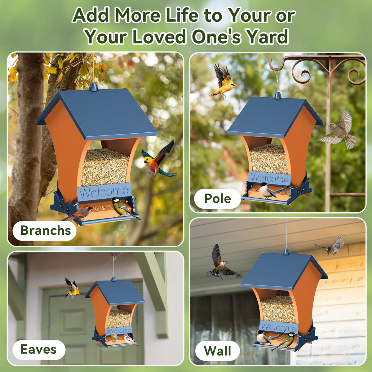 Wildpark orange body and blue roof add backyard appeal for birds.