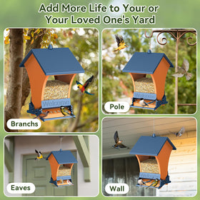 Wildpark orange body and blue roof add backyard appeal for birds.