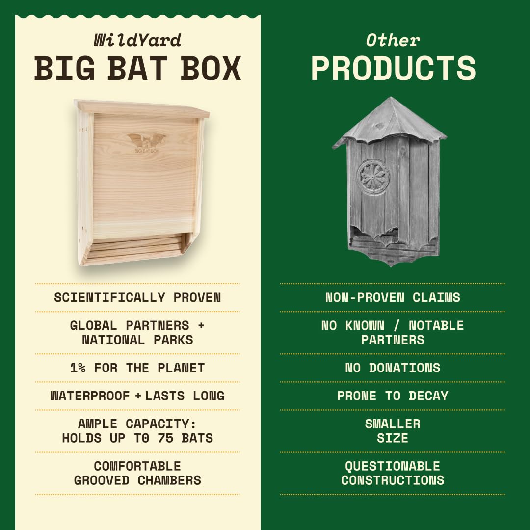 WildYard Bat Habitat Retreat boosts backyard biodiversity and pest management potential