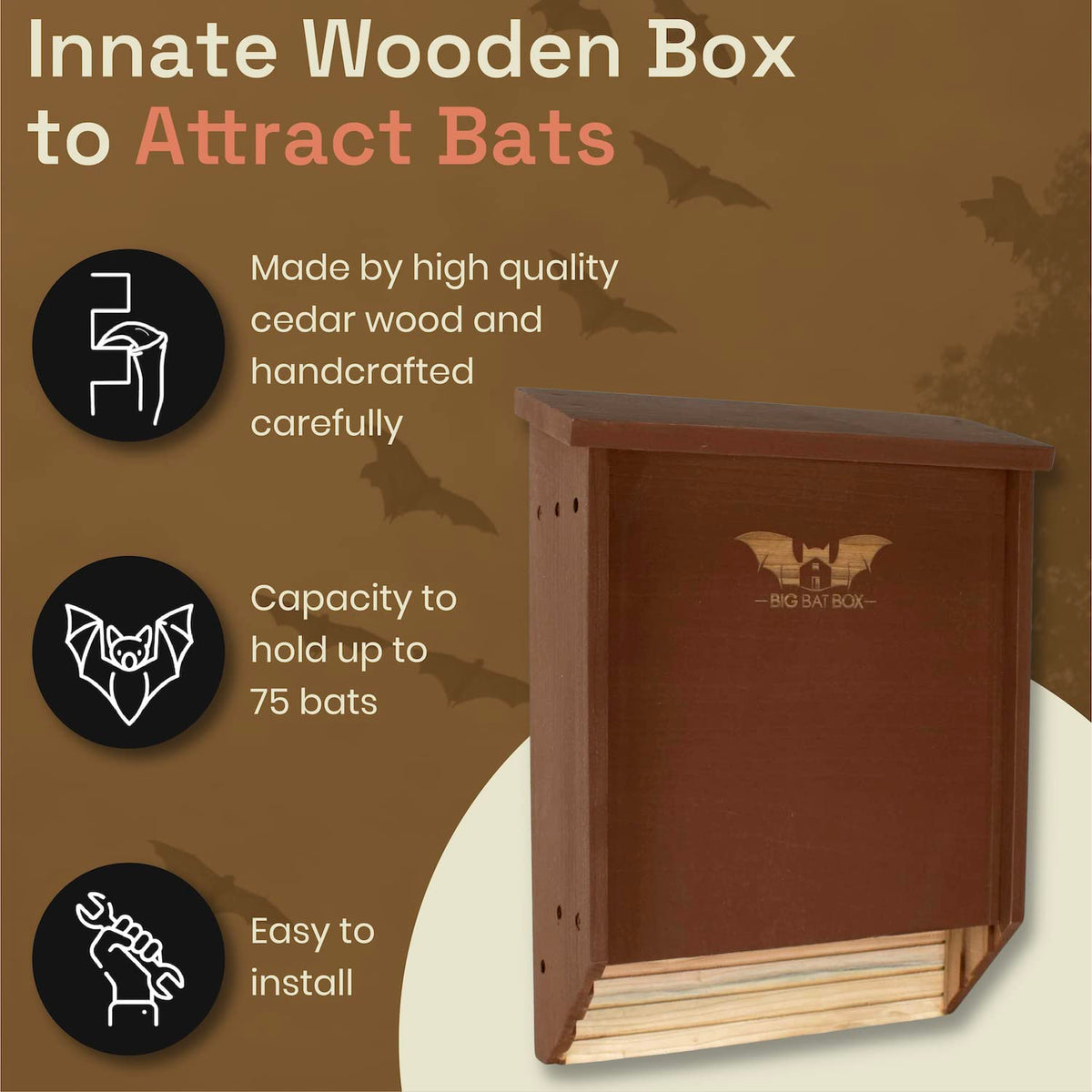WildYard BigBatBox sleek backyard design complements spaces