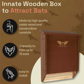 WildYard BigBatBox sleek backyard design complements spaces