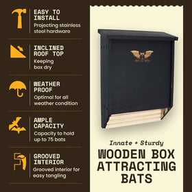 WildYard BIGBATBOX cedar wood closeup highlights natural rot resistance.
