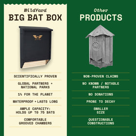 WildYard BIGBATBOX easy-install setup shows mounting on walls or trees.