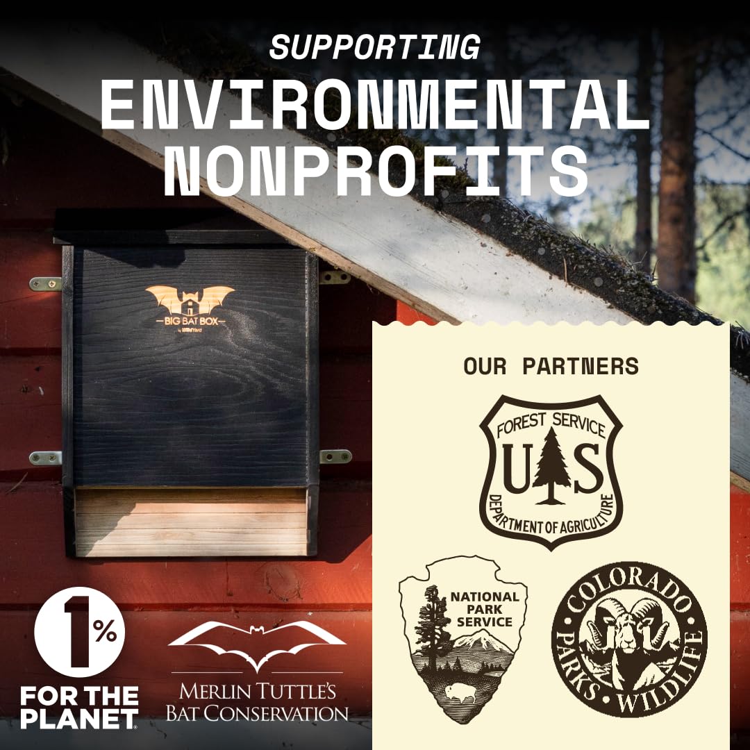 WildYard BIGBATBOX supports natural bat predators that help manage garden insects.
