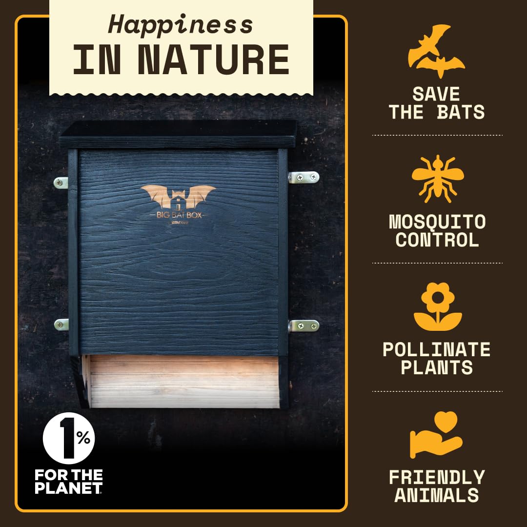 WildYard BIGBATBOX interior two-chamber layout encourages roosting in comfortable spaces.