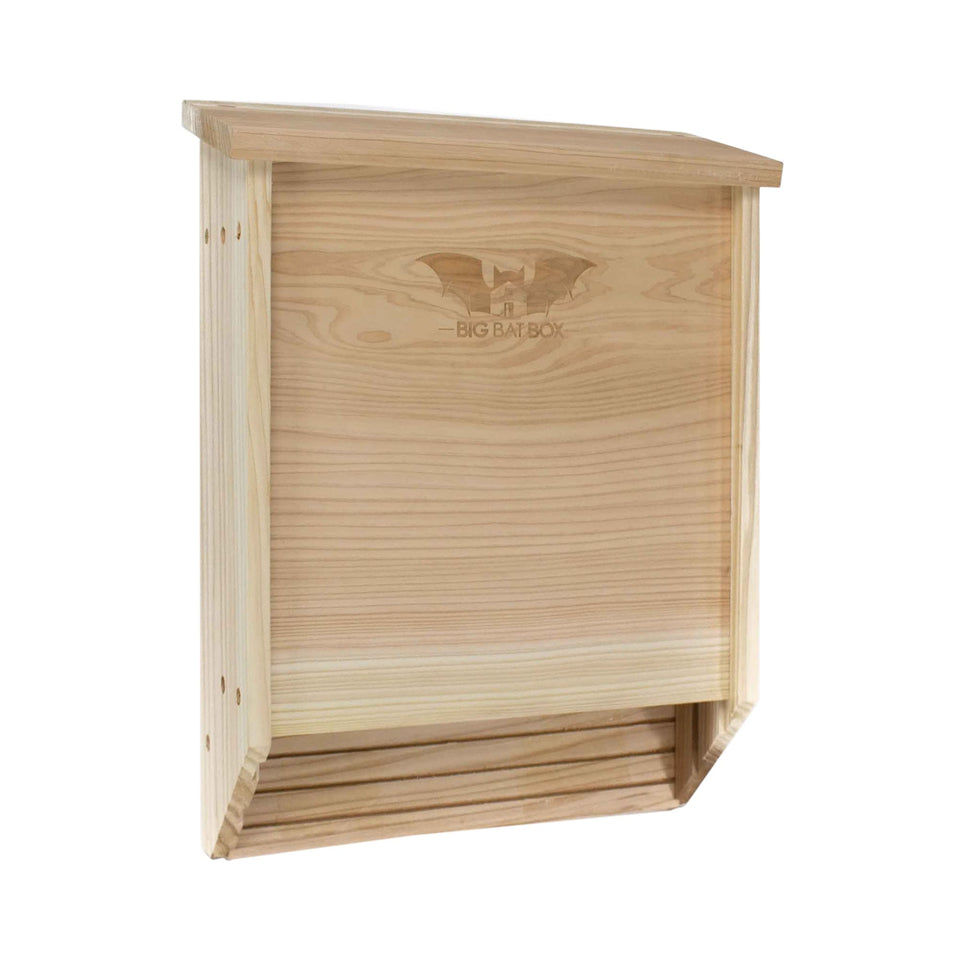 WildYard Cedar Bat House exterior view, two-chamber design supporting backyard wildlife