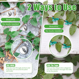 WILLBOND metal wire roll offers sturdy ties for trellises and vines.
