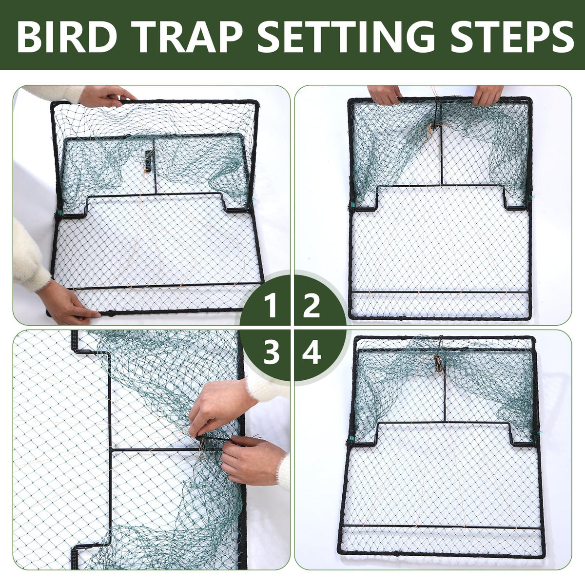 WillMesh humane design enables easy release and safe handling of captured birds.
