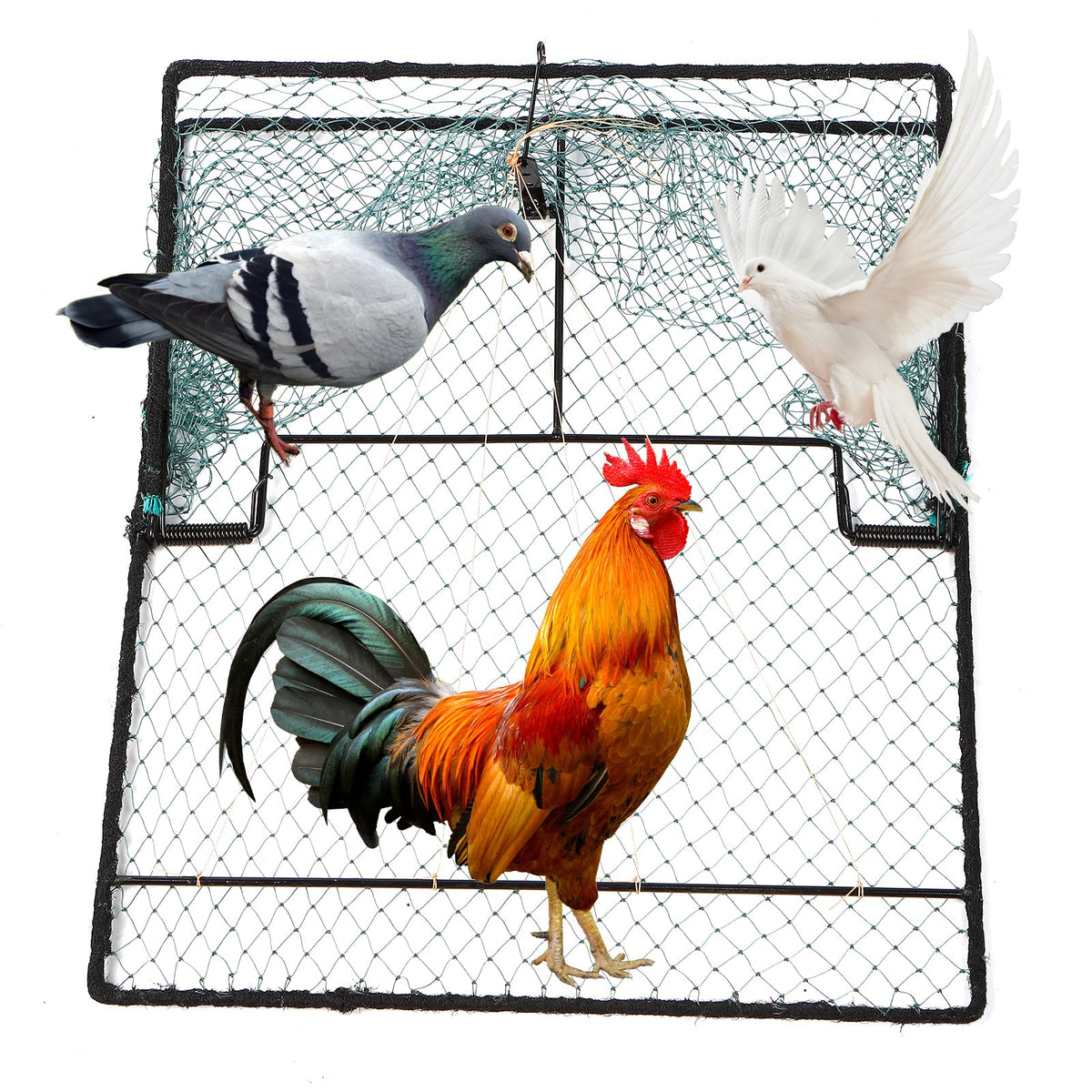WillMesh humane pigeon trap with durable net for safe bird capture.
