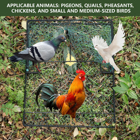 WillMesh poultry catch setup offers quick, humane trapping, easy to install.