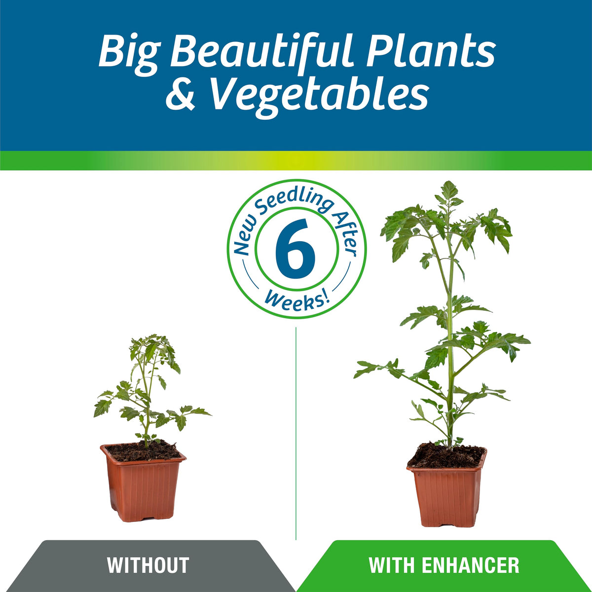 Wilt-Pruf humates soil enrichment shows micronutrient support for living soil