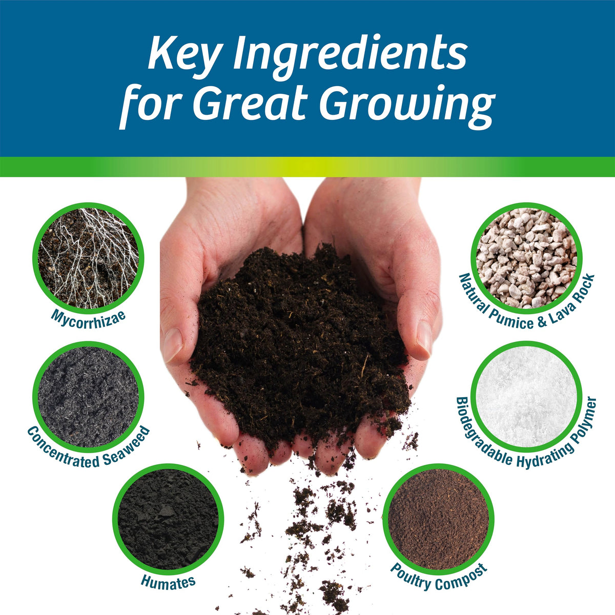 Wilt-Pruf mycorrhiza boost demonstrates strong roots for healthy transplants