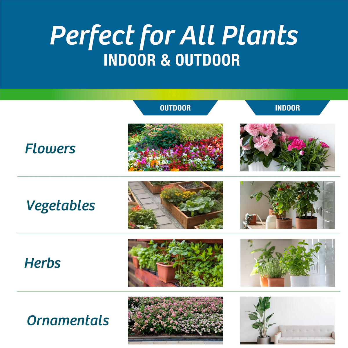 Wilt-Pruf refresh potting mix shows rejuvenation of old soil and pots