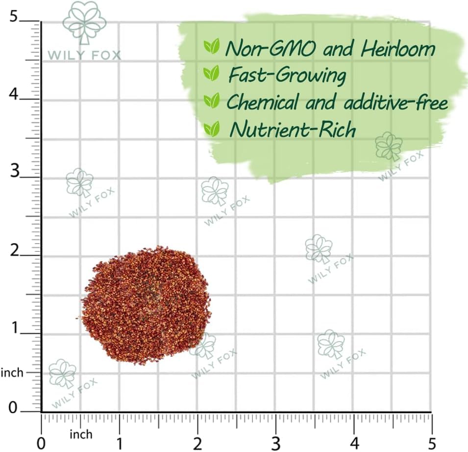 Wily Fox fragaria seeds closeup highlighting heirloom planting for flavorful berries.