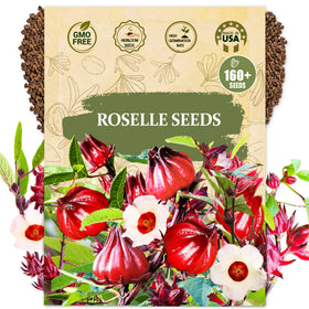 Wily Fox Roselle seeds pack front, ideal for starting a high-yield garden