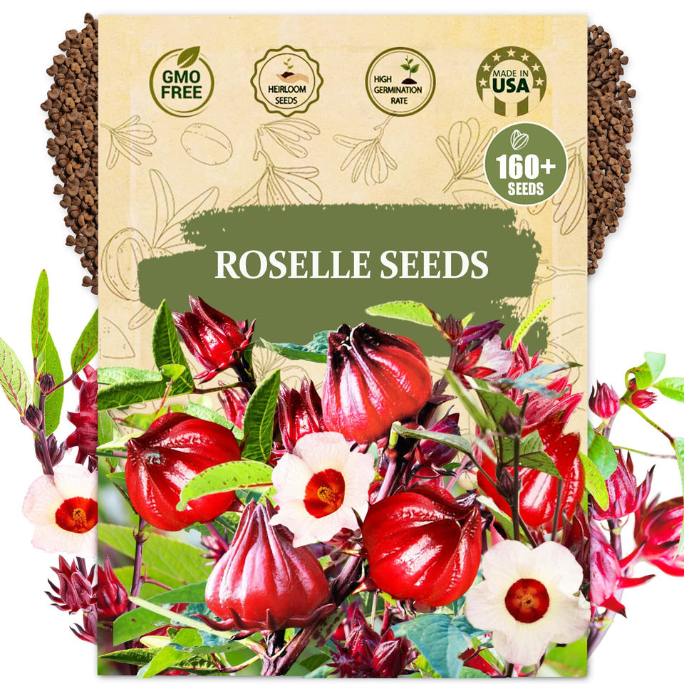 Wily Fox Roselle seeds pack front, ideal for starting a high-yield garden