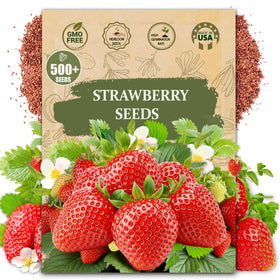 Wily Fox rare strawberry seeds pack for easy home gardening and fresh harvest.