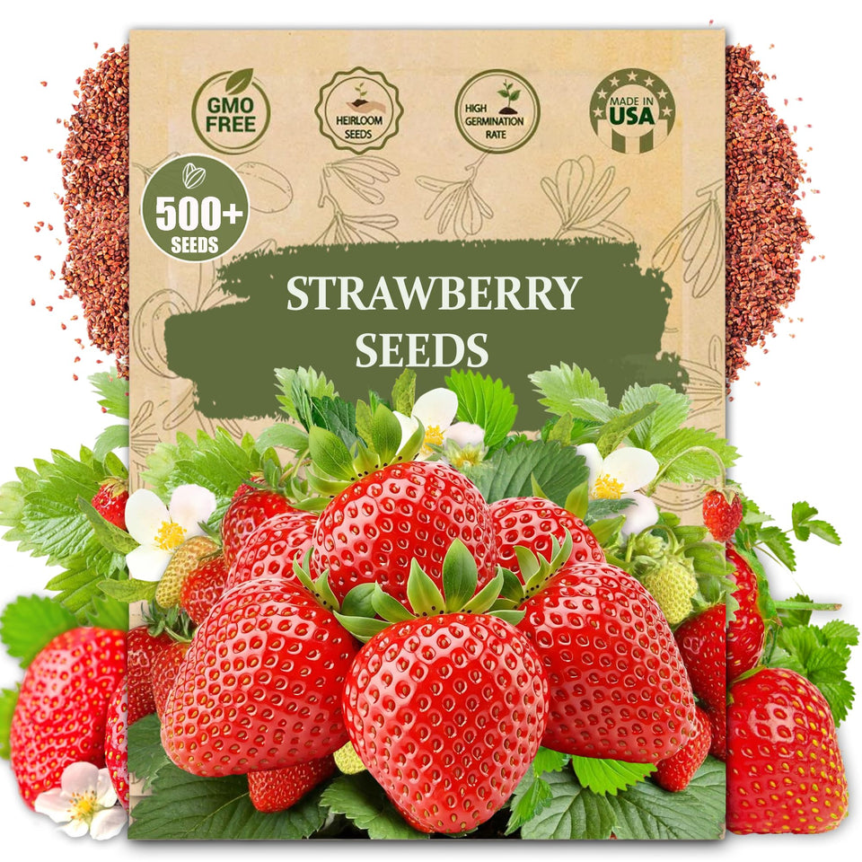 Wily Fox rare strawberry seeds pack for easy home gardening and fresh harvest.