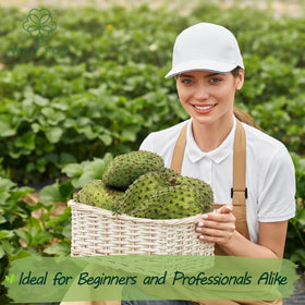 Wily Fox soursop seeds fruit potential, tasty harvests for juices and desserts.