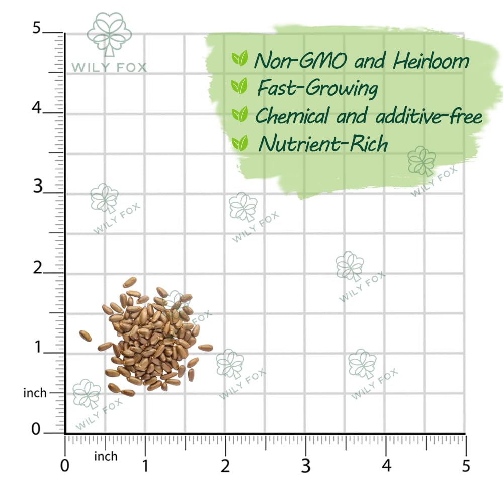 Wily Fox soursop seeds germination test, high germination potential for quick growth.