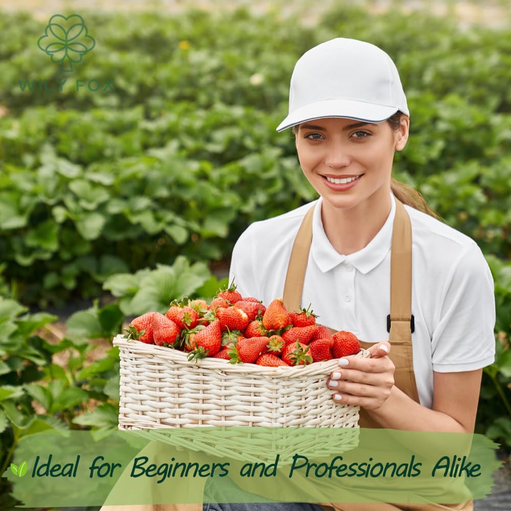 Wily Fox 300-seed pack ideal for abundant home harvests.