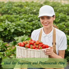 Wily Fox 300-seed pack ideal for abundant home harvests.