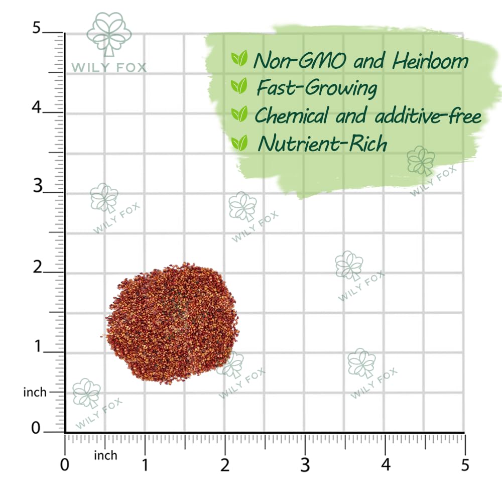 Wily Fox Non-GMO heirloom seeds for authentic, flavorful strawberries.
