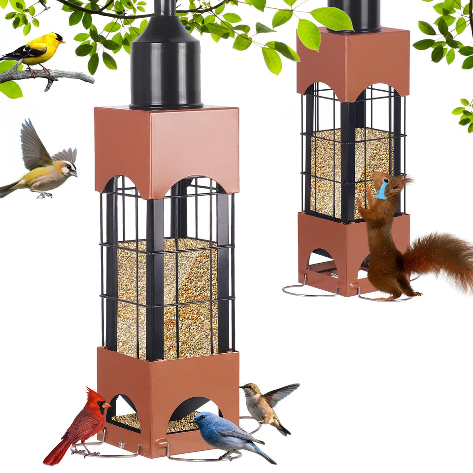 Wilytoin squirrel-proof perch mechanism blocks seed access for squirrels